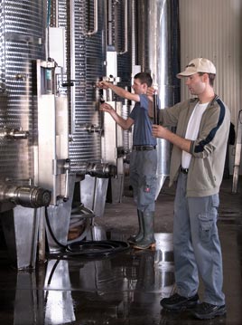 Die Verbindung von Tradition und Moderne beim Weinausbau